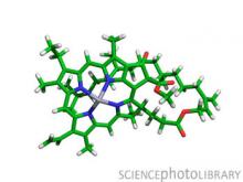 klorofil molekula
