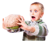 gyermek agy